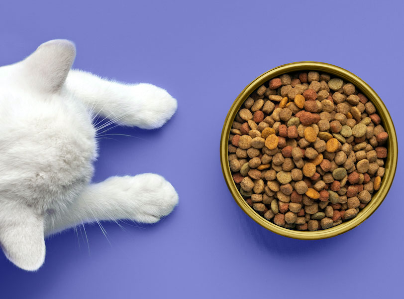 pet-food-manufacturer